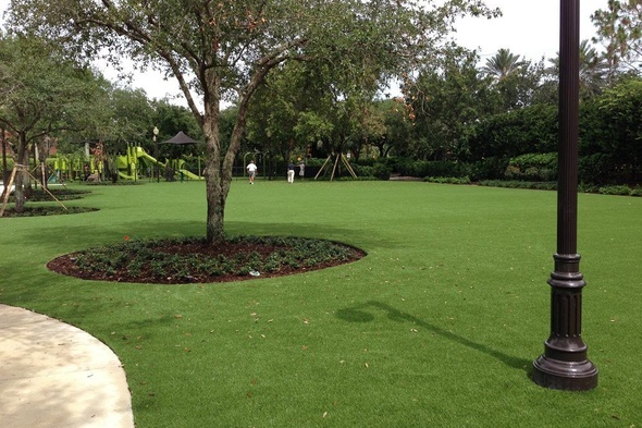 Austin commercial artificial grass landscaping